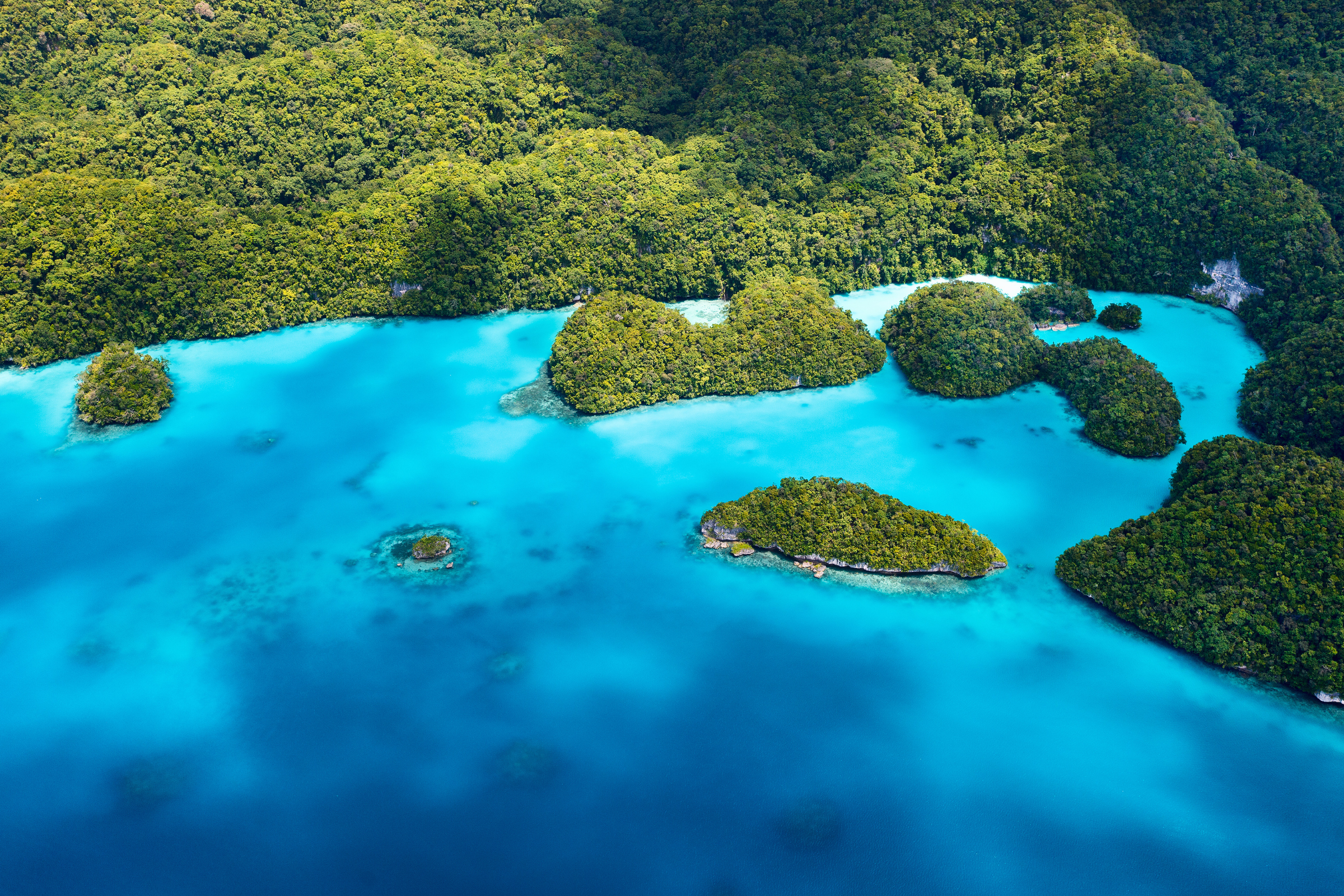 27 palau islands.webp
